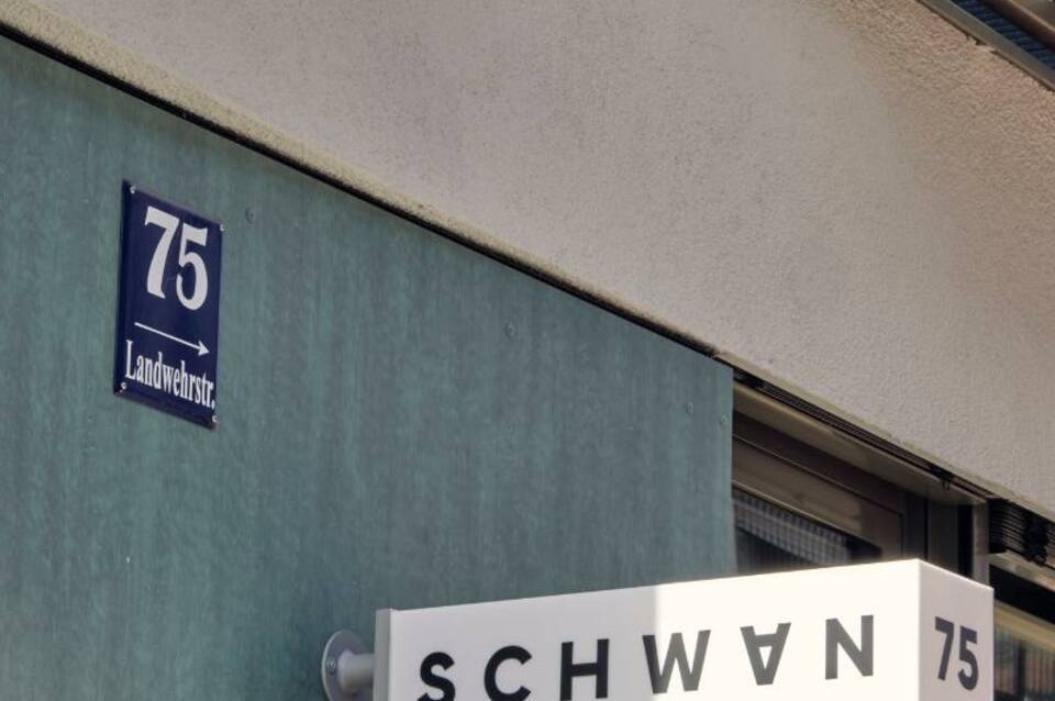 Schwan Locke 2
