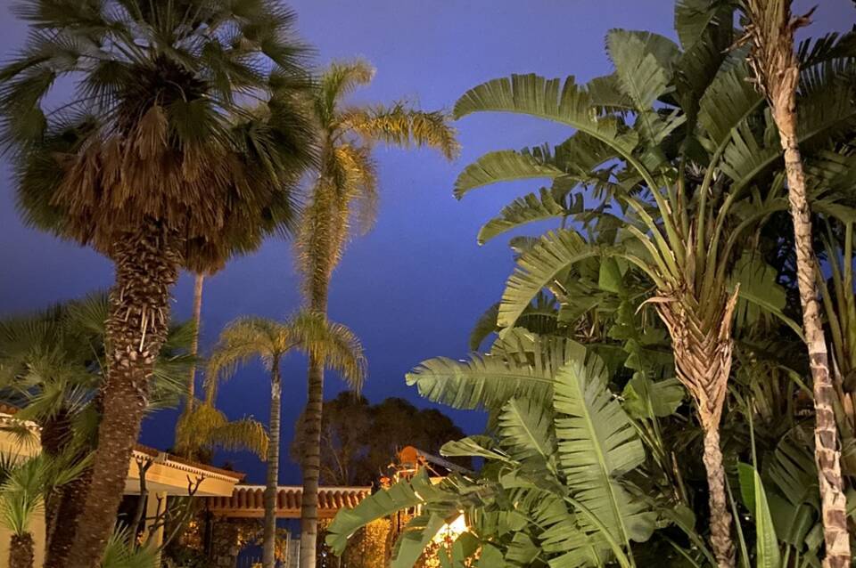 Tigaiga Suites  3