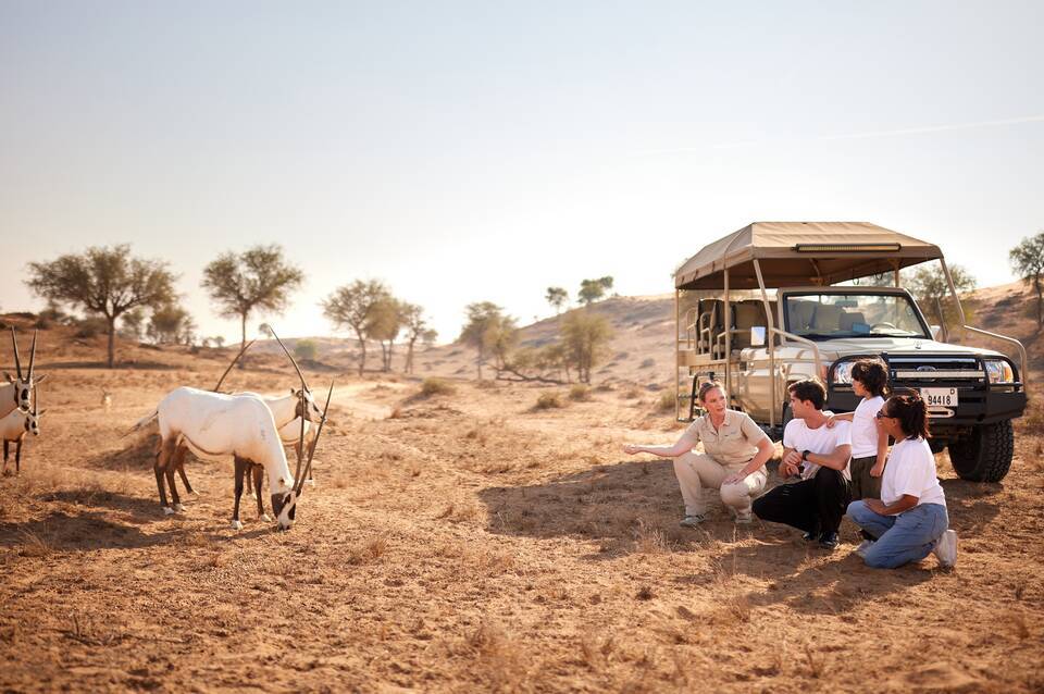 The Ritz-Carlton Ras Al Khaimah, Al Wadi Desert 4