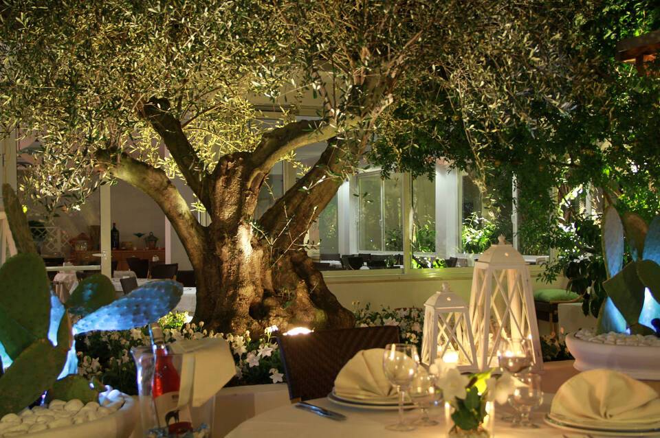 Oleandri Family Resort 2