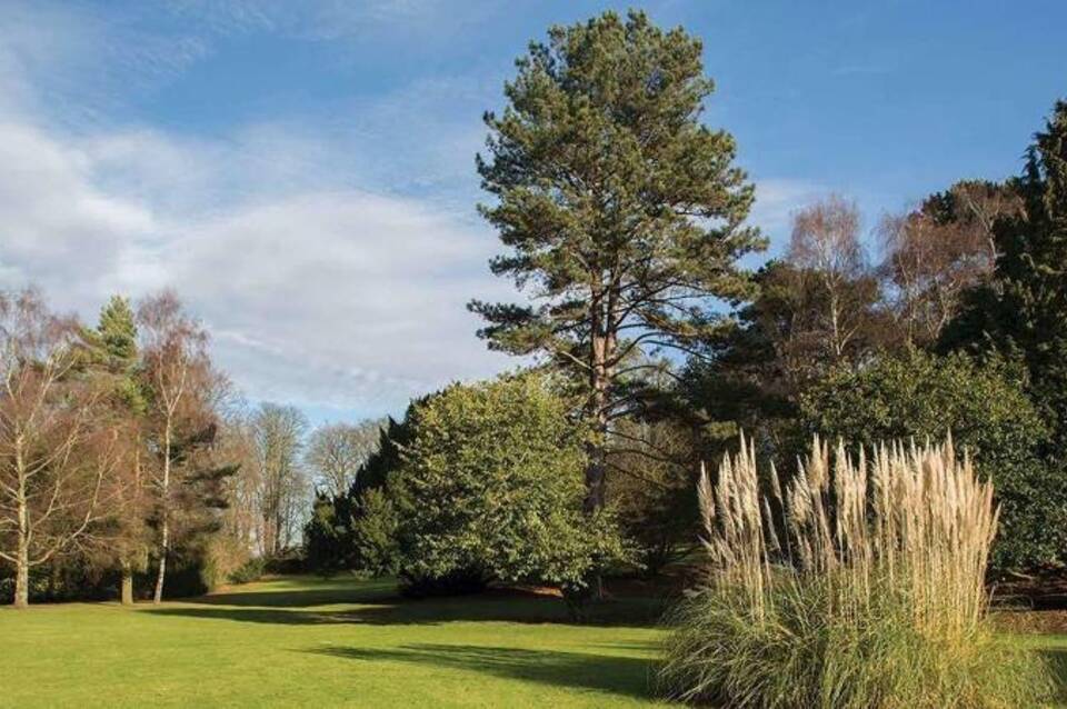 Brandshatch Place Hotel & Spa 2