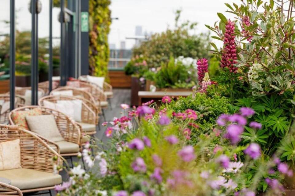 Treehouse London 1