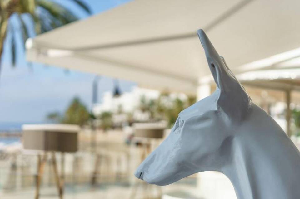 One Ibiza Suites 1
