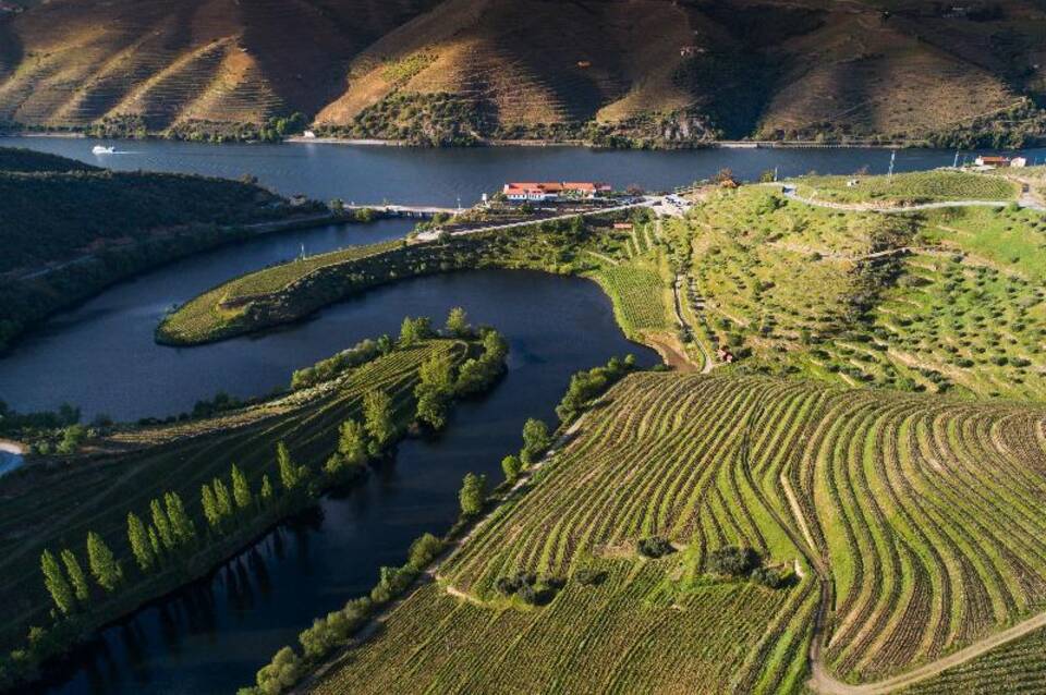 Vila Gale Douro Vineyards 3