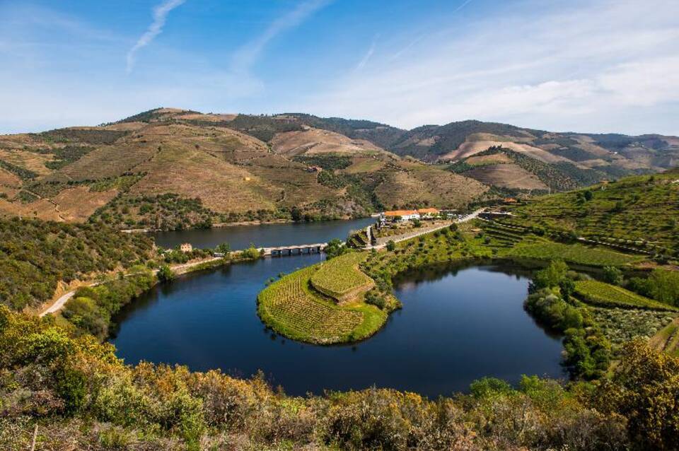 Vila Gale Douro Vineyards 4