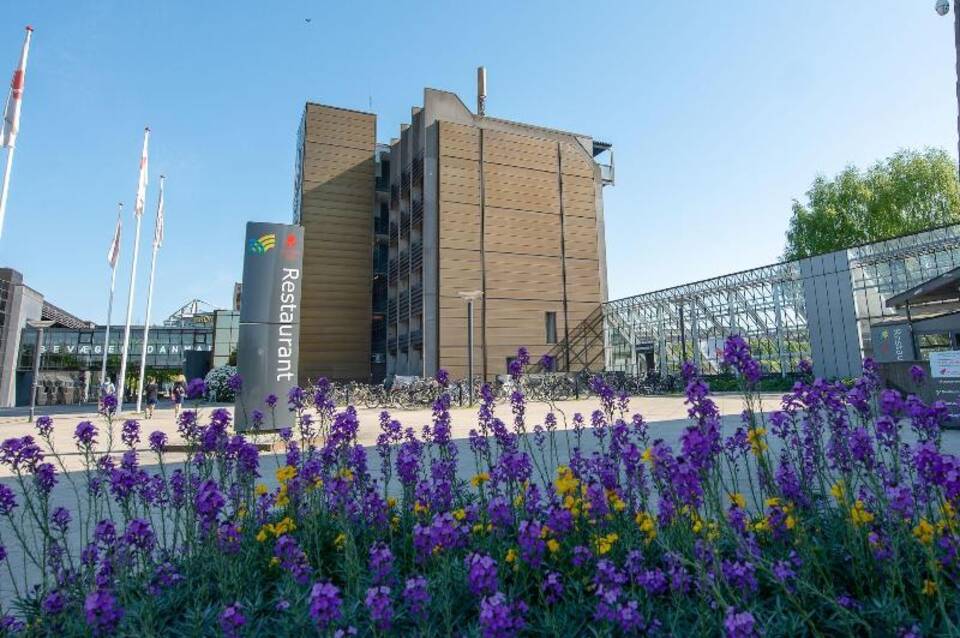 Idrættens Hus 3