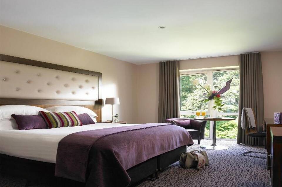 Dunboyne Castle 4