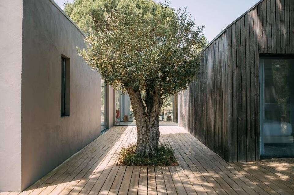 Sublime Comporta Country House Retreat 5
